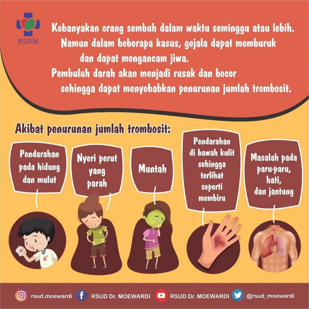 Waspada Terhadap Ancaman DBD