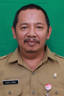 Agus Ismu Hartanto, SSiT, MM