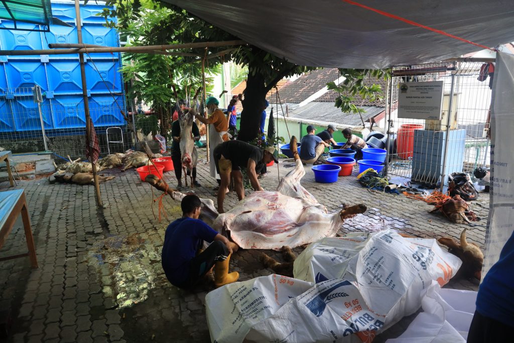 Penyembelihan Hewan Kurban di RSUD Dr. Moewardi